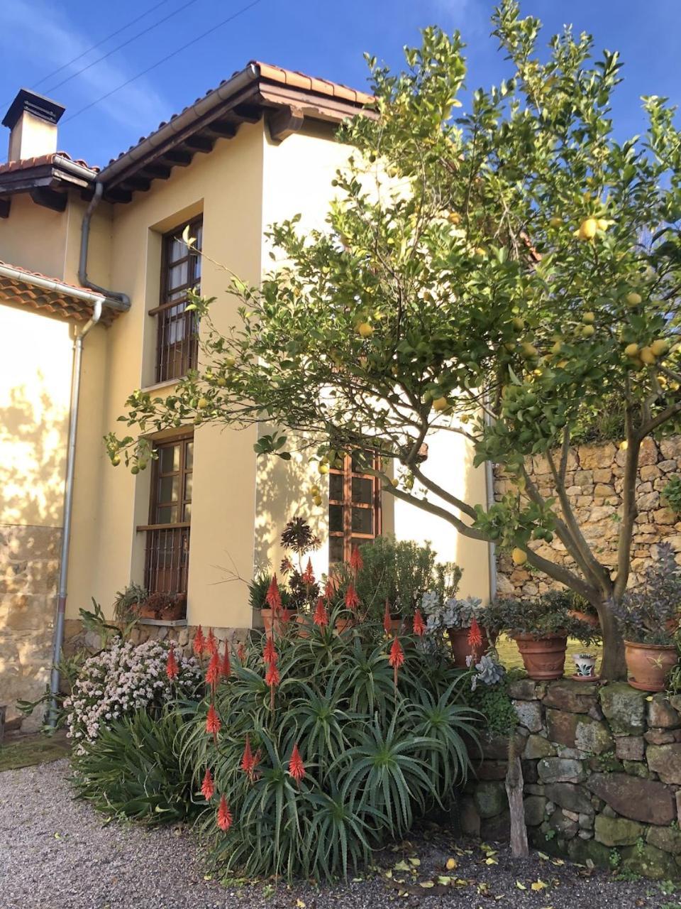 Casa Rural Trebol4Hojas San Pedro  Zewnętrze zdjęcie