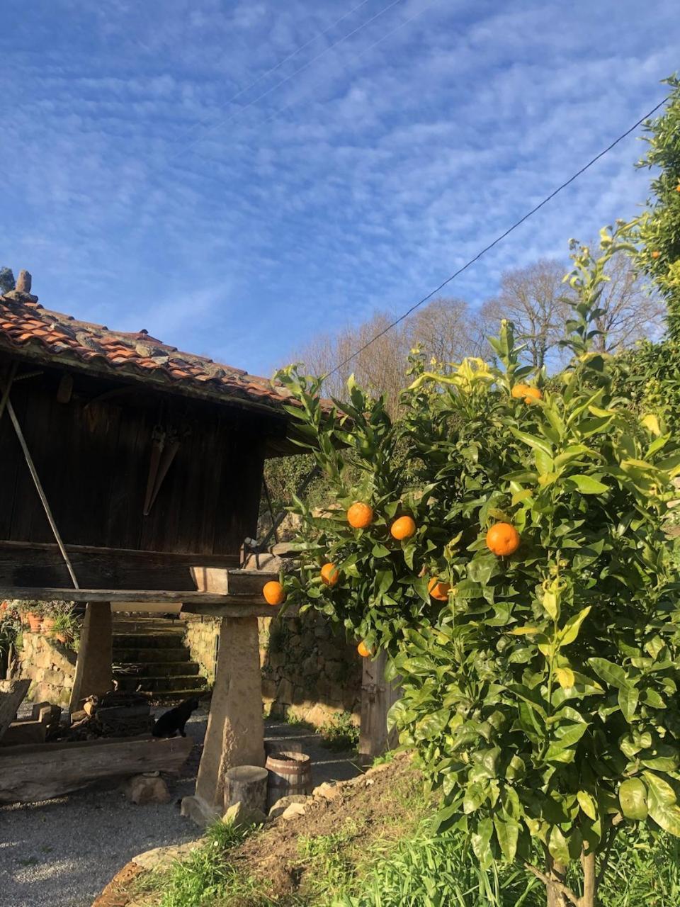 Casa Rural Trebol4Hojas San Pedro  Zewnętrze zdjęcie