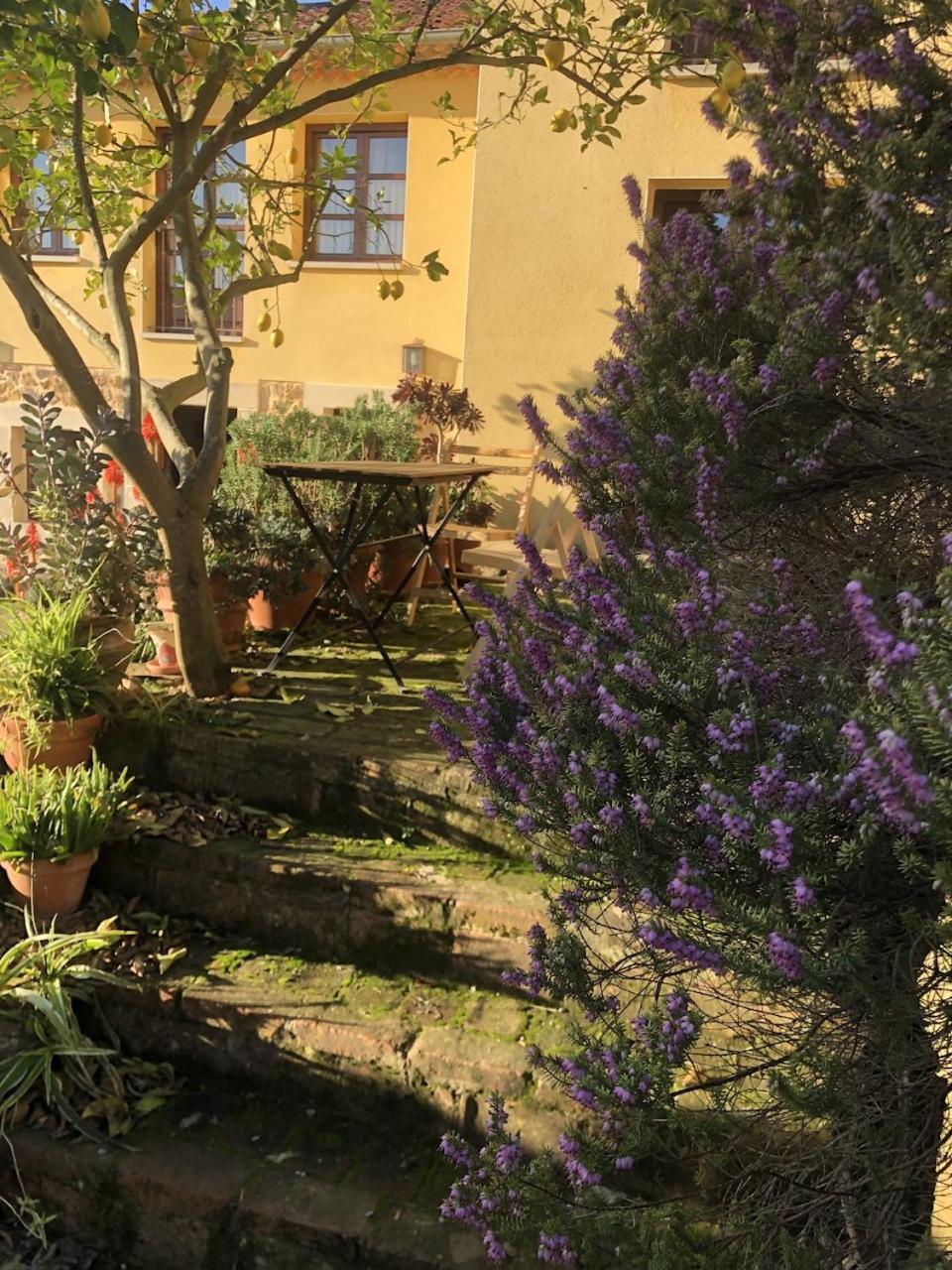 Casa Rural Trebol4Hojas San Pedro  Zewnętrze zdjęcie