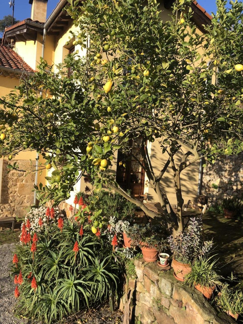 Casa Rural Trebol4Hojas San Pedro  Zewnętrze zdjęcie